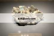 毛利语welcome 