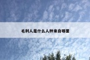 毛利人是什么人种来自哪里