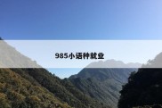 985小语种就业 