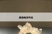 藏语晚安咋说