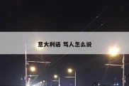 意大利语 骂人怎么说