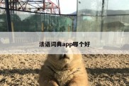 法语词典app哪个好