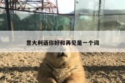 意大利语你好和再见是一个词