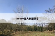 tesoro意大利语发音 