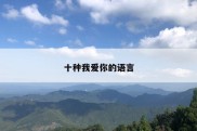 十种我爱你的语言