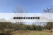 藏语翻译成汉语通用词语
