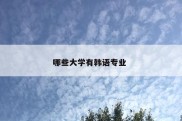 哪些大学有韩语专业 