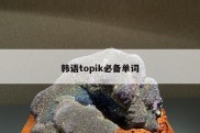 韩语topik必备单词