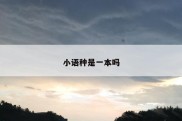 小语种是一本吗