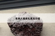 毛利人碰鼻礼英文介绍