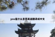 you是什么意思英语翻译成中文