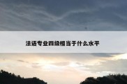 法语专业四级相当于什么水平 