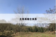 土耳其瑞士关系