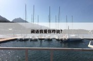 藏语我爱你咋说?