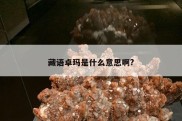 藏语卓玛是什么意思啊?