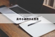 高中小语种什么意思