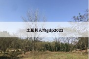 土耳其人均gdp2021