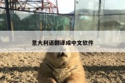 意大利语翻译成中文软件