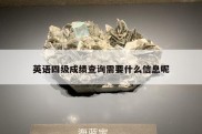 英语四级成绩查询需要什么信息呢