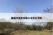 藏语中语言和输入法怎么写的