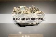 北大小语种毕业好找工作吗