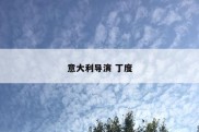 意大利导演 丁度