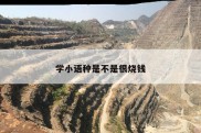 学小语种是不是很烧钱