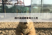 四六级成绩查询十二月