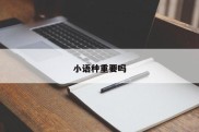 小语种重要吗