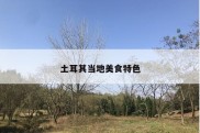 土耳其当地美食特色