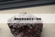 满族和蒙古族文字一样吗