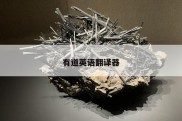 有道英语翻译器