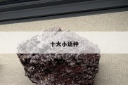 十大小语种