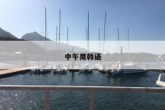 中午用韩语