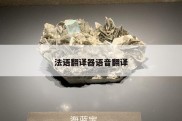 法语翻译器语音翻译