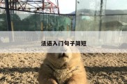 法语入门句子简短