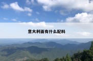 意大利面有什么配料
