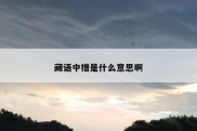 藏语中措是什么意思啊