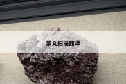 蒙文扫描翻译