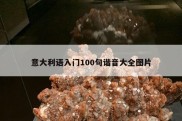 意大利语入门100句谐音大全图片