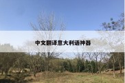 中文翻译意大利语神器