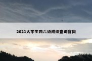 2021大学生四六级成绩查询官网