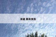 法语 新年快乐