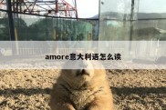 amore意大利语怎么读