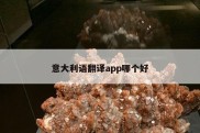 意大利语翻译app哪个好