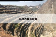 新世界外语培训