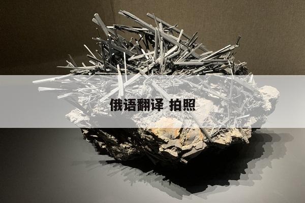 俄语翻译 拍照
