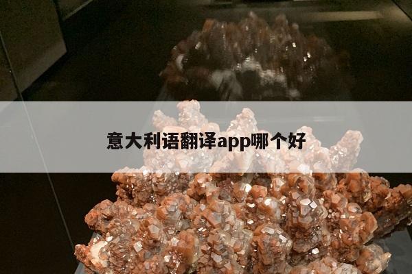 意大利语翻译app哪个好